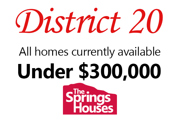 Academy District 20 Homes Under $300,000